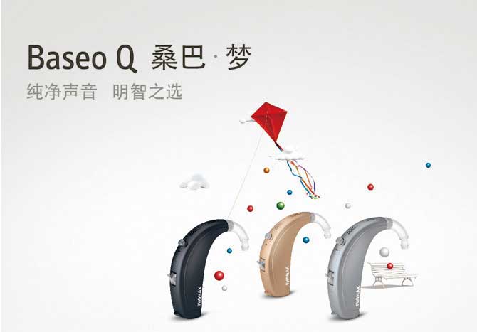 Baseo Q5-SP(图1)