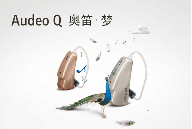 Audeo Q90-10 xSP(图1)